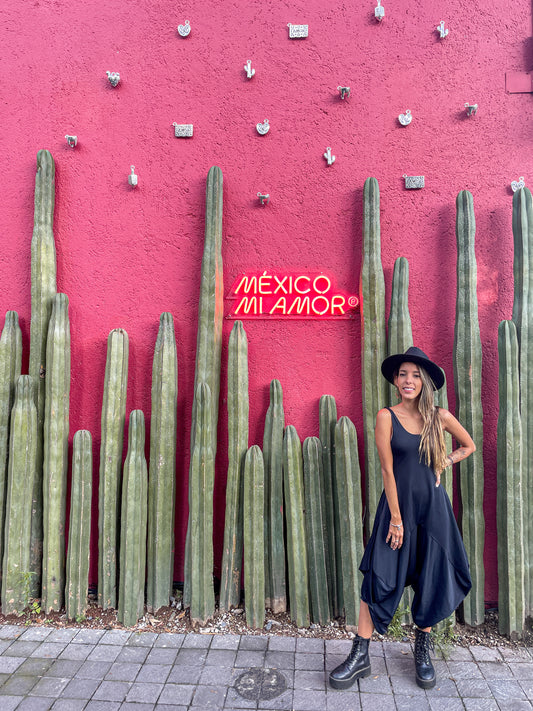 RUTA POR MÉXICO