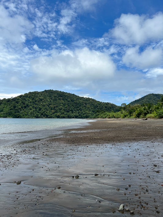 BAHÍA SOLANO, (Chocó) COL