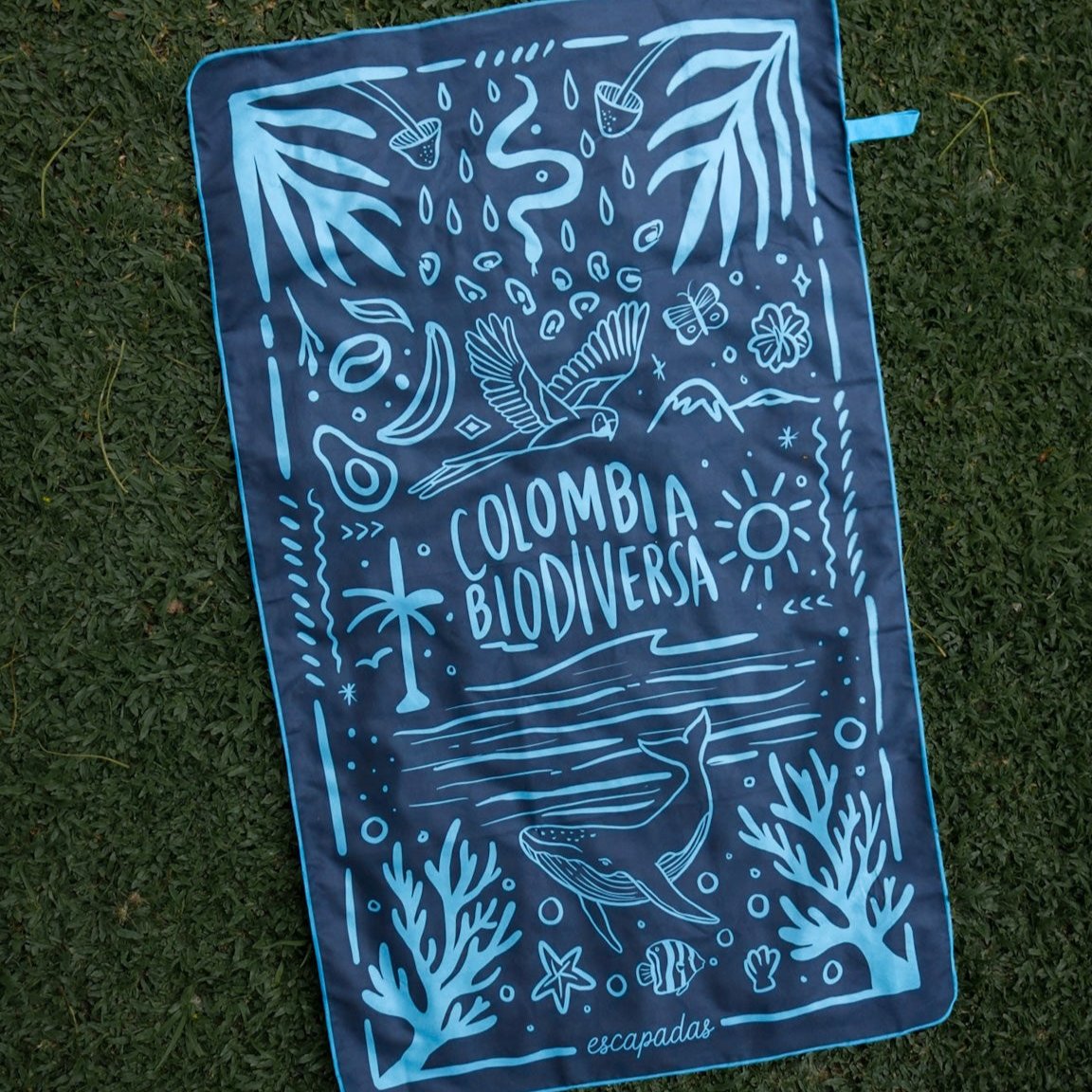 Microfiber Towel Colombia