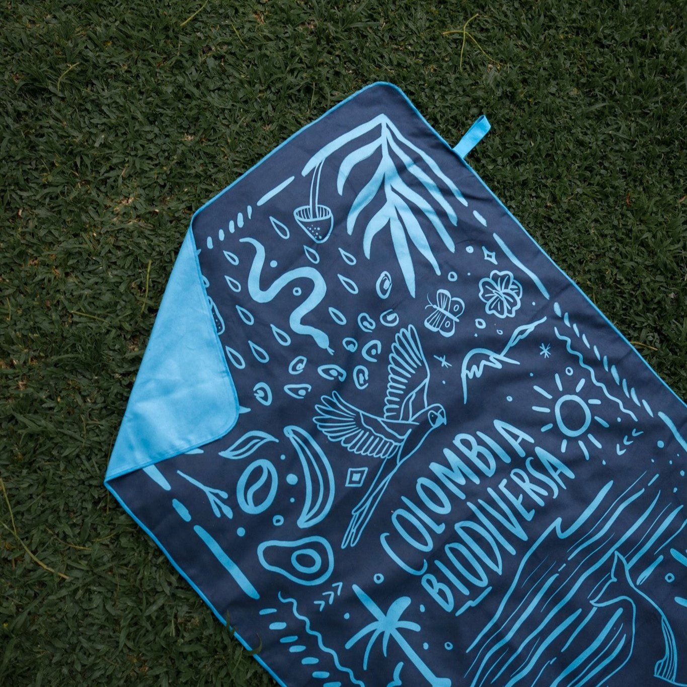 Microfiber Towel Colombia