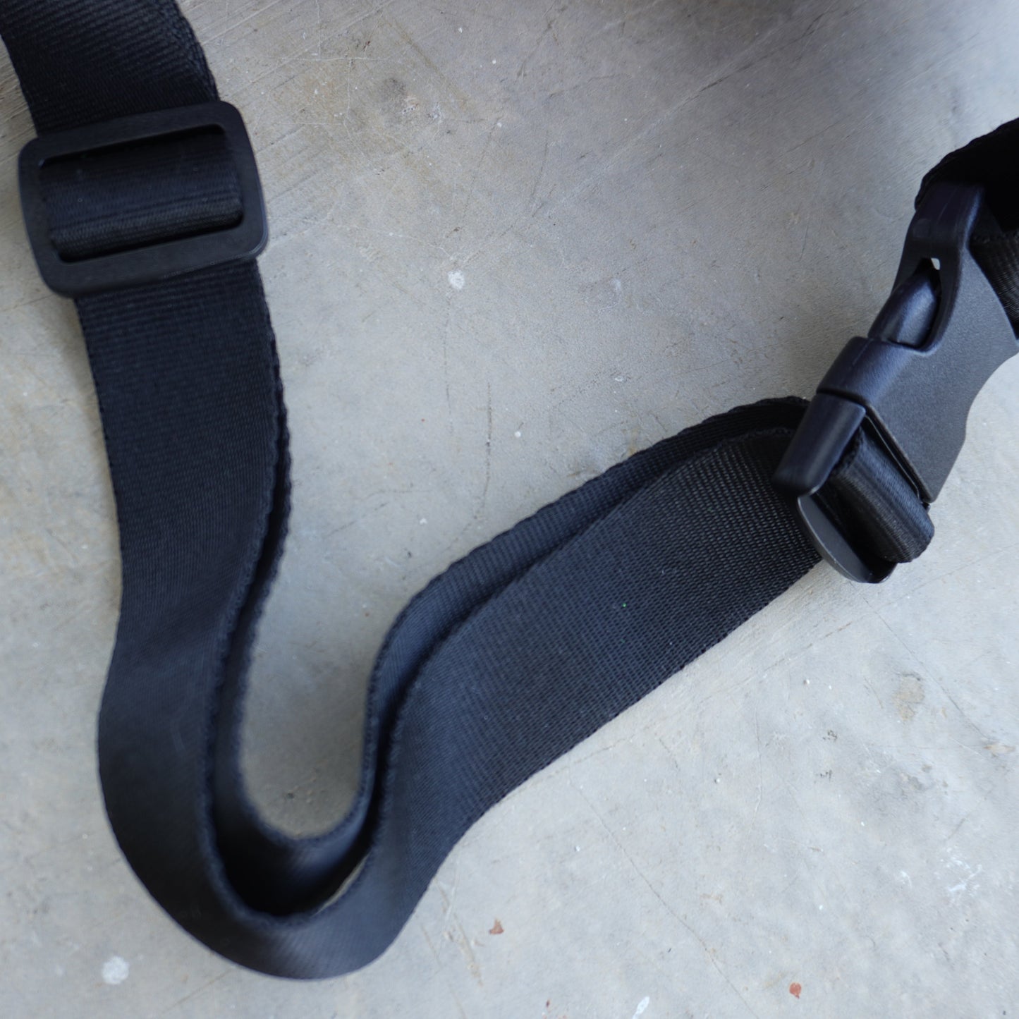 Canguro Animal Print