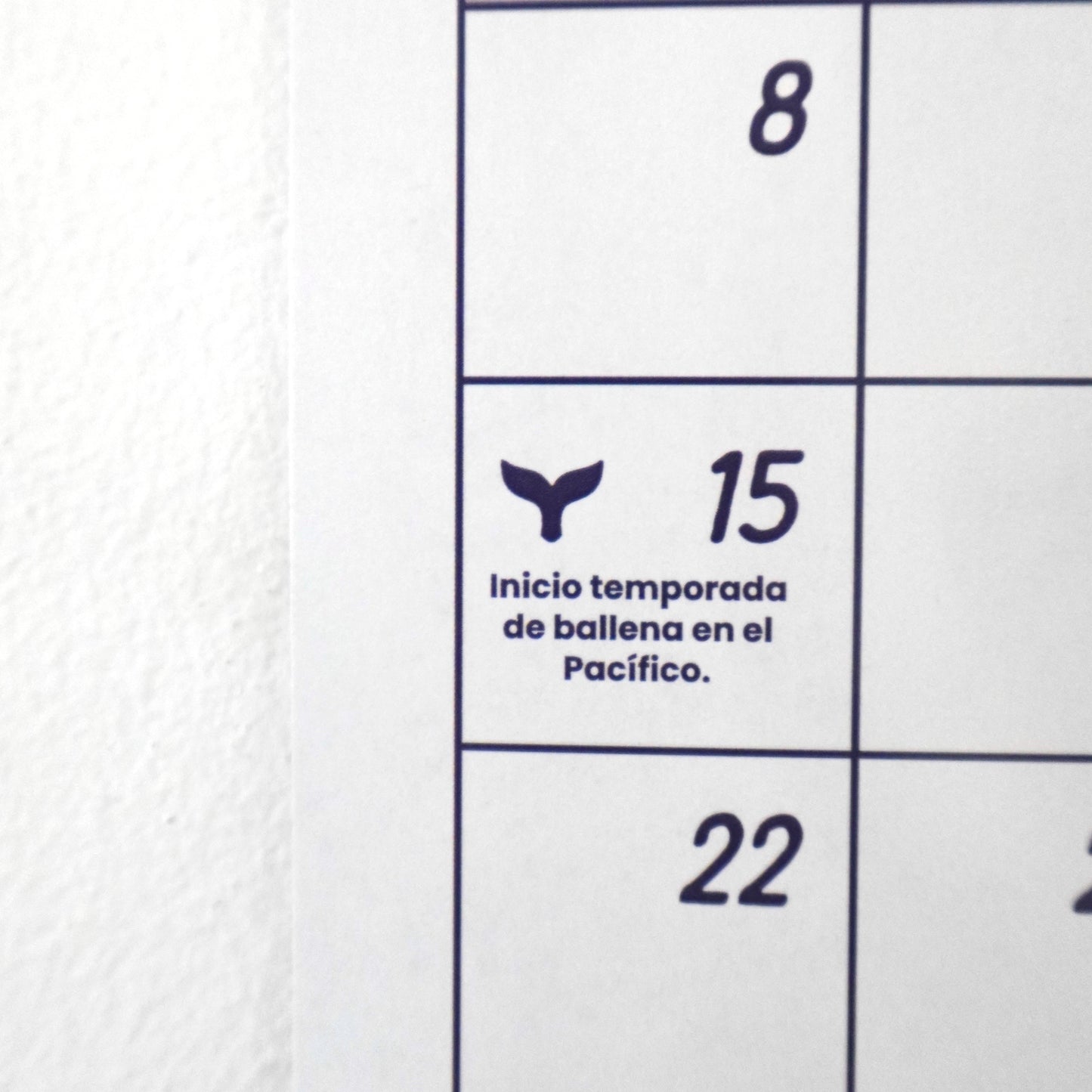 Calendario 2024