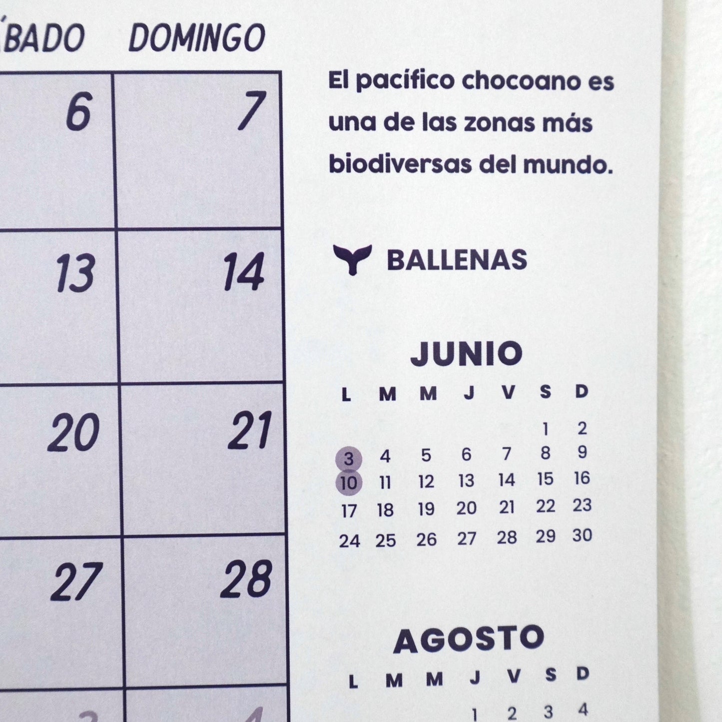 Calendario 2024