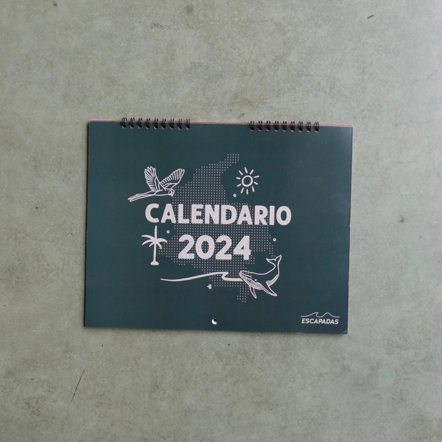 Calendario 2024