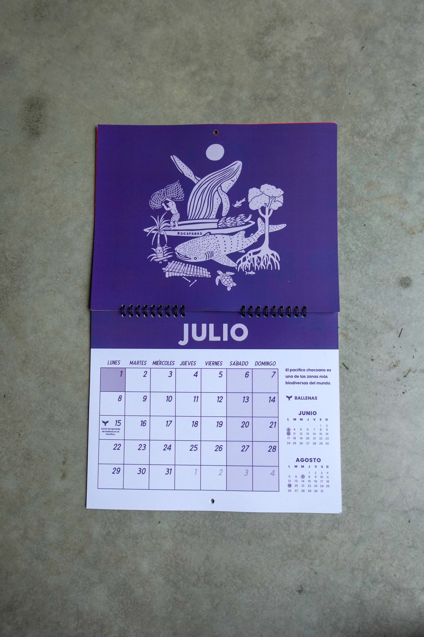 Calendario 2024