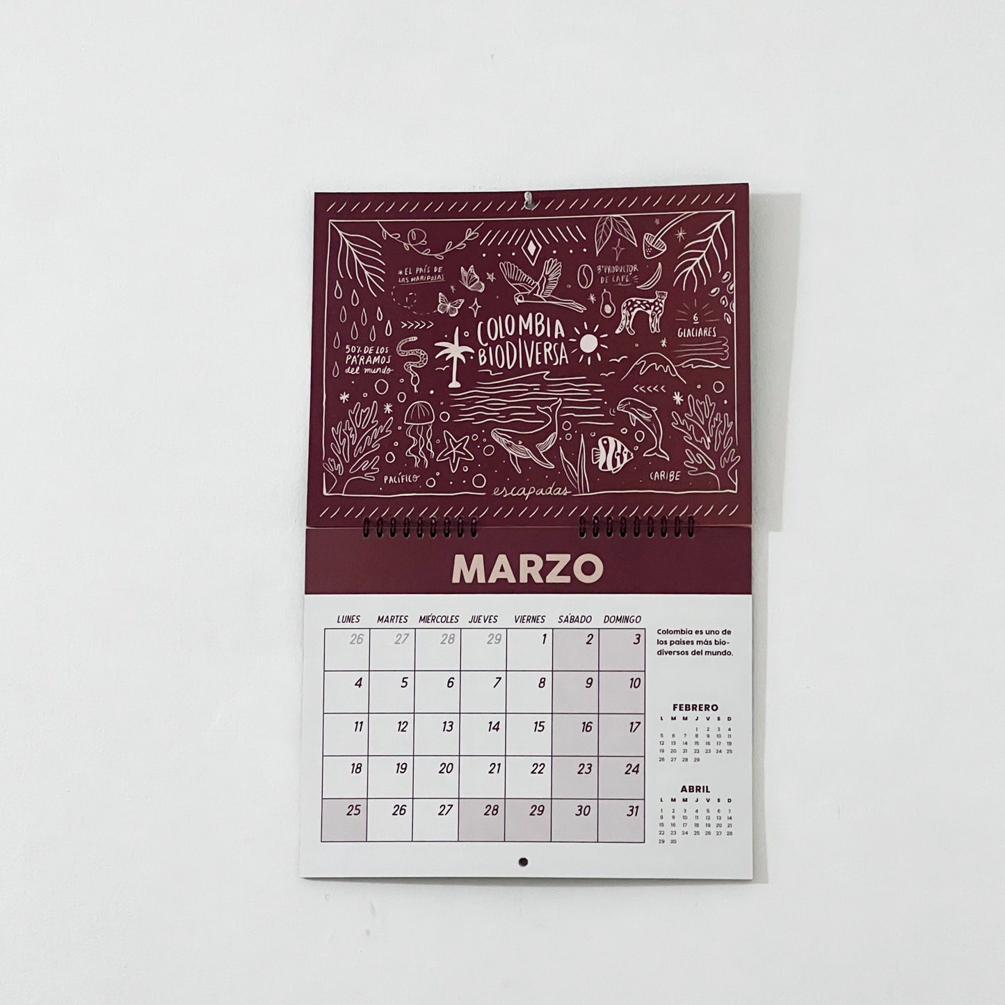 Calendario 2024