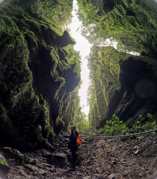 Bosque de Pandora, El Peñón (Santander) - COL